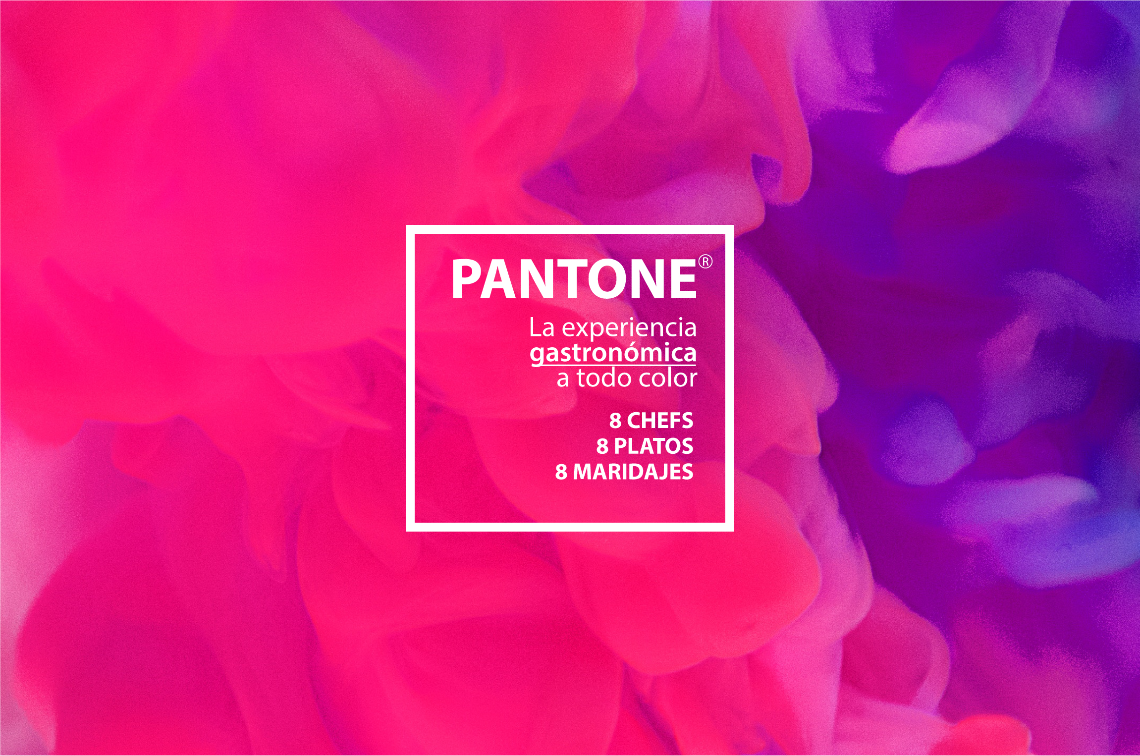 EXPERIENCIA PANTONE